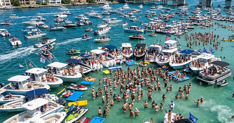 full day charters to haulover sandbar or lake boca